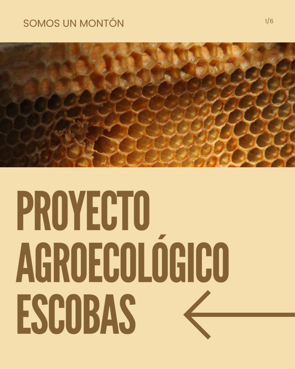 Proyecto Agroecológico Escobas